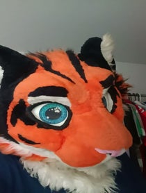 Poster for Other video from Jack Tiger