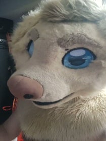 Poster for Birthday video from Rex the Furry Dog