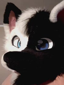 Poster for Father's Day video from SOLIS THE WOLF