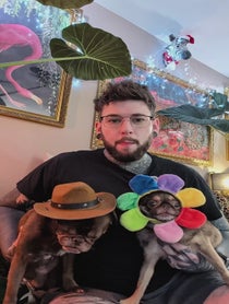Poster for Other video from KingChilliThePug