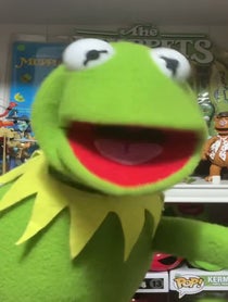 Poster for Other video from The Muppets (Kermit, Fozzie, Gonzo) IMPERSONATION