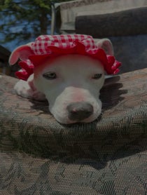 Poster for Other video from miss billy