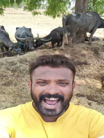 Poster for Birthday video from Indian Buffalo Man
