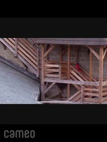 Poster for Intro video video from Cara Maria