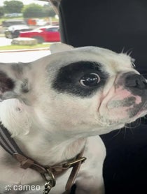 Poster for Intro video video from Walter Geoffrey