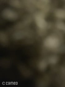 Poster for Intro video video from Christopher Sean