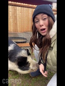 Poster for Intro video video from Mister Pig & Tonks