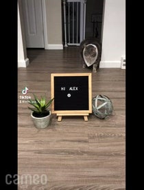 Poster for Intro video video from Little Guy