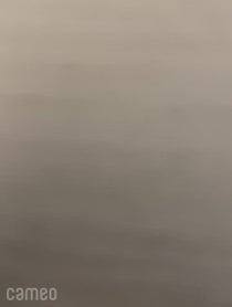 Poster for Intro video video from Donny Enriquez aka Chef Donny