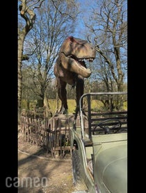 Poster for Intro video video from Rex the T-Rex