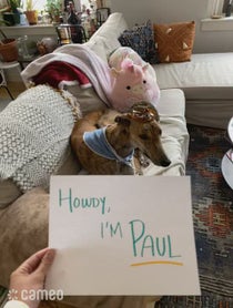 Poster for Intro video video from Risk it all Paul