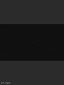 Poster for Intro video video from Michael Franzese