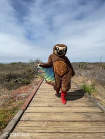 Poster for Intro video video from Only Sloths / Bridget Case