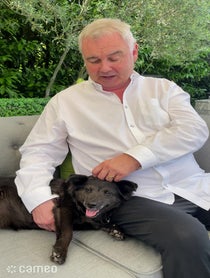 Poster for Intro video video from Eamonn Holmes