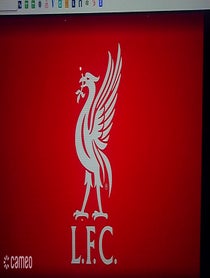 Poster for Intro video video from Cheeky Jurgen