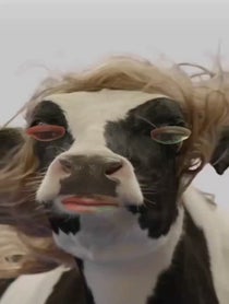 Poster for Pep Talk video from Starburst the Cow