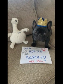 Poster for Birthday video from Sami Jo