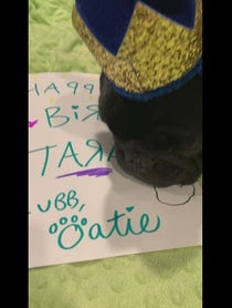 Poster for Birthday video from Sami Jo
