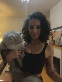 Poster for Question video from Ariel Kashanchi