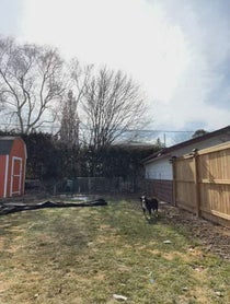 Poster for Birthday video from Celina Spooky Boo