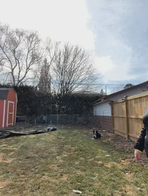 Poster for Birthday video from Celina Spooky Boo