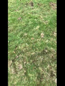Poster for Birthday video from Just Dad