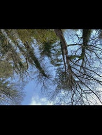 Poster for Other video from Nat Zang