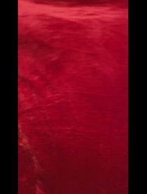 Poster for Birthday video from Lauren Zima