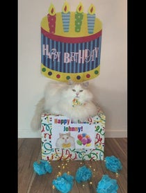 Poster for Birthday video from Benny