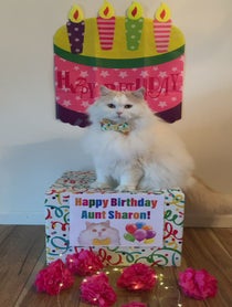 Poster for Birthday video from Benny