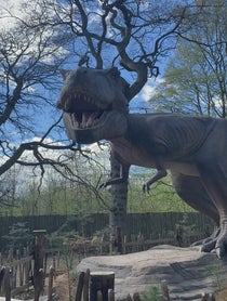 Poster for Birthday video from Rex the T-Rex