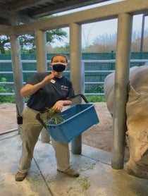 Poster for Birthday video from Rhinos at Houston Zoo