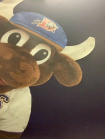 Poster for Other video from Wool E. Bull