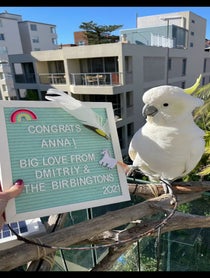 Poster for Other video from The Almond Cafe