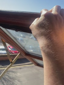 Poster for Anniversary video from Steven the seagull