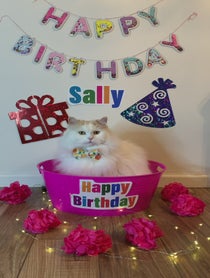 Poster for Birthday video from Benny