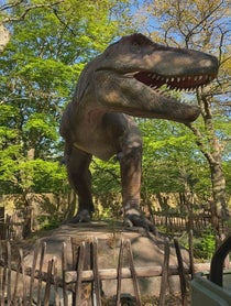Poster for Other video from Rex the T-Rex