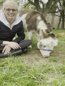 Poster for Gift video from Nelson The Donkey