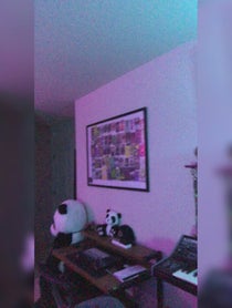 Poster for Gift video from JmaC - Manic Focus