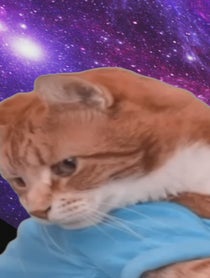Poster for Birthday video from Keyboard Cat