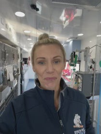 Poster for Anniversary video from Dr Bree - Wildlife Vet