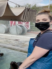 Poster for Other video from Pacific Marine Mammal Center