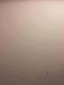 Poster for Give Thanks video from Super Lit Mario