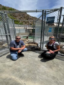 Poster for Birthday video from Pacific Marine Mammal Center