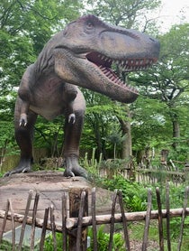 Poster for Birthday video from Rex the T-Rex