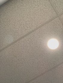 Poster for Announcement video from 66Samus