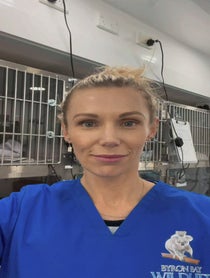 Poster for Birthday video from Dr Bree - Wildlife Vet