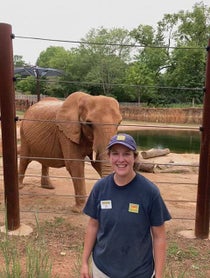 Poster for Birthday video from Kelly the African Elephant