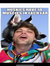 Poster for Birthday video from Bentellect