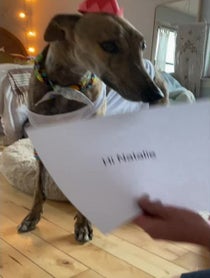 Poster for Birthday video from Risk it all Paul